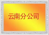 云南分公司